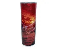 Avatar Aang vs Fire Lord Ozai Tumbler | 20 oz Battle Cup (Fan-Inspired)